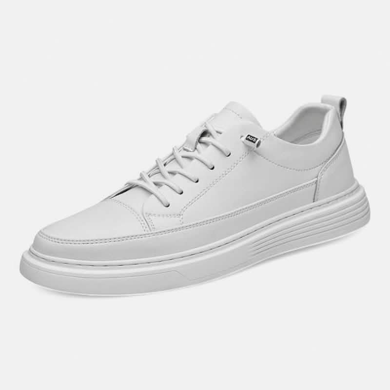 ALESSANDRO | Sneakers - Salvatore