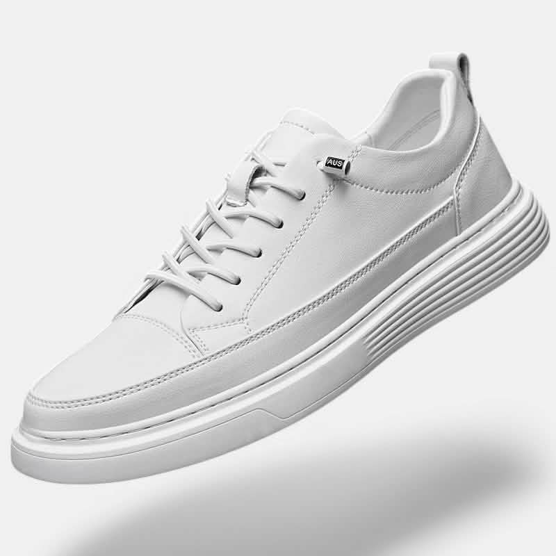 ALESSANDRO | Sneakers - Salvatore