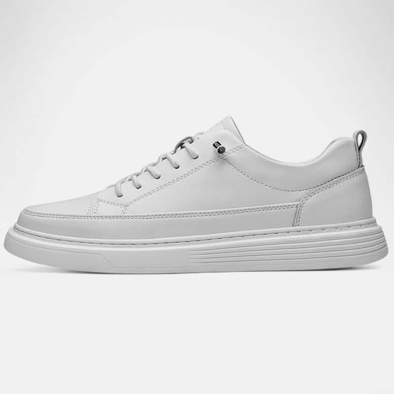 ALESSANDRO | Sneakers - Salvatore